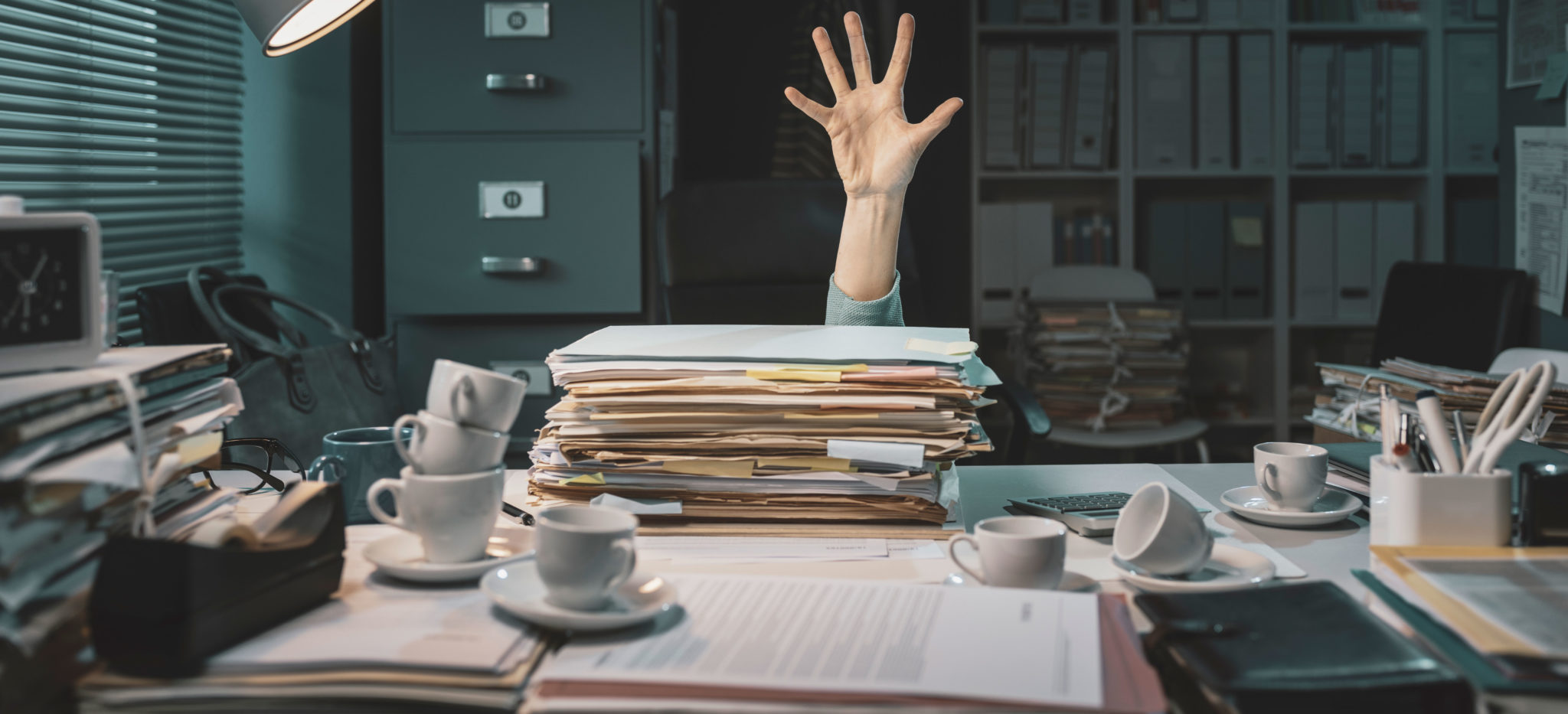 Adobe Acrobat Pro für Formularerstellung DTP AKADEMIE RheinMain GmbH