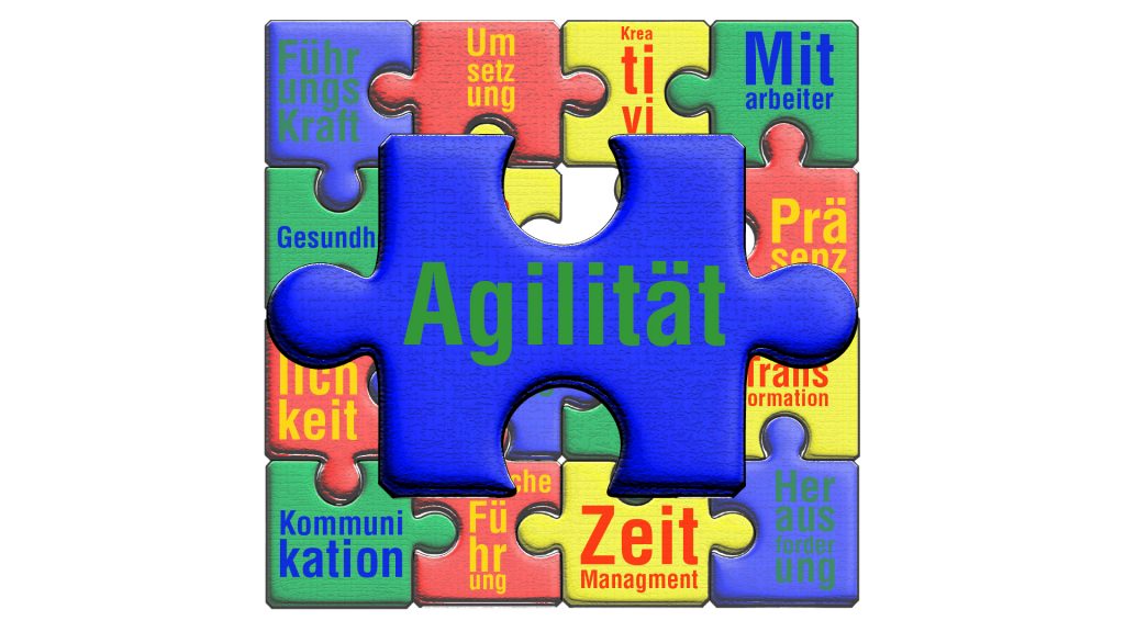 Agile Führung